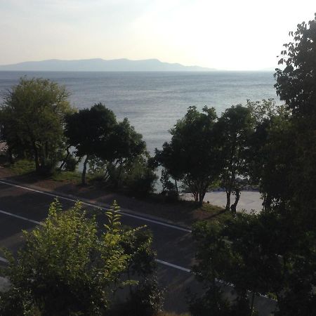 Apartment Marina Senj Сен Екстериор снимка